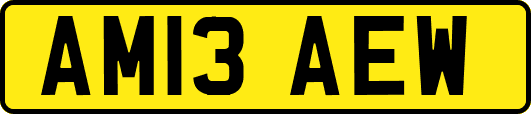 AM13AEW