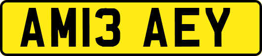 AM13AEY