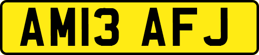 AM13AFJ