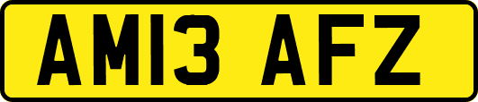 AM13AFZ