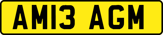 AM13AGM