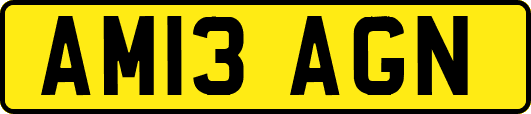 AM13AGN