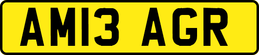 AM13AGR