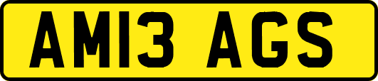 AM13AGS