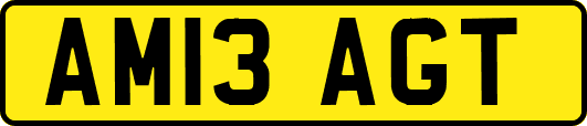 AM13AGT