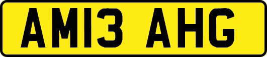 AM13AHG