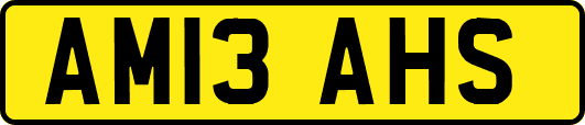 AM13AHS