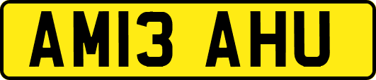 AM13AHU