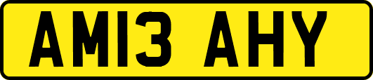 AM13AHY