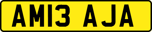 AM13AJA