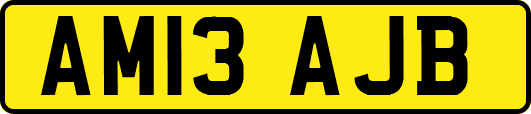 AM13AJB