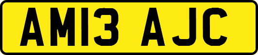 AM13AJC