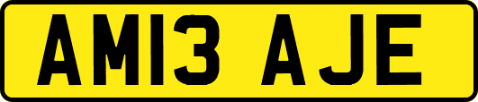 AM13AJE
