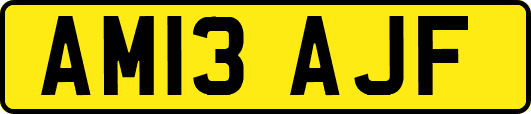 AM13AJF