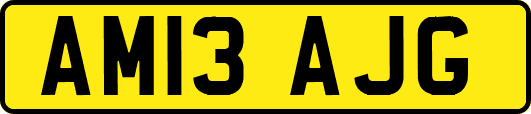 AM13AJG