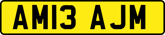 AM13AJM