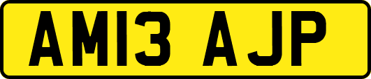 AM13AJP