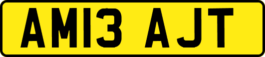 AM13AJT