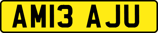 AM13AJU