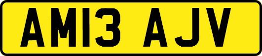 AM13AJV