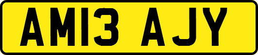 AM13AJY