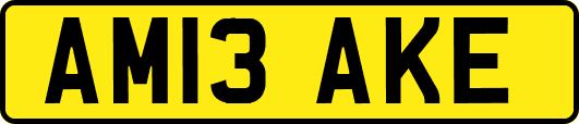 AM13AKE