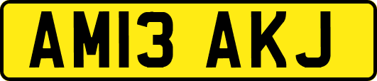 AM13AKJ