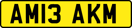 AM13AKM