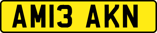 AM13AKN