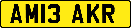 AM13AKR