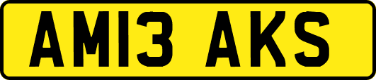 AM13AKS