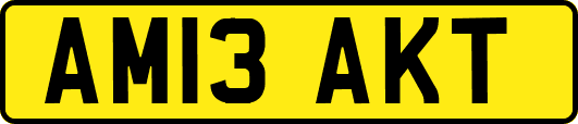 AM13AKT