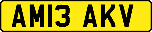 AM13AKV