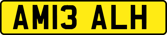 AM13ALH