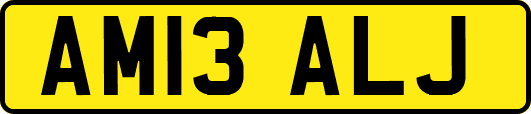 AM13ALJ