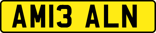 AM13ALN