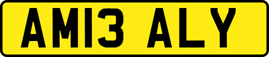 AM13ALY