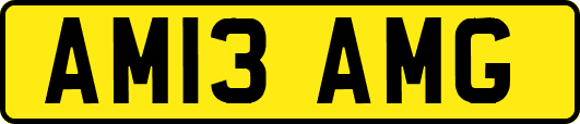AM13AMG