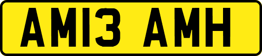 AM13AMH