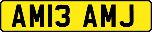 AM13AMJ