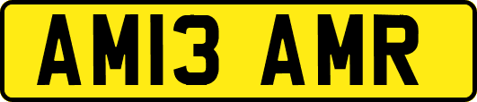 AM13AMR