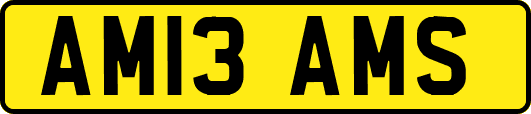 AM13AMS