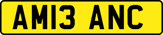 AM13ANC