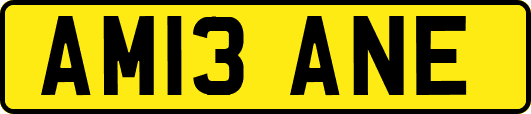AM13ANE