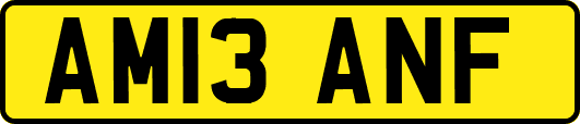 AM13ANF