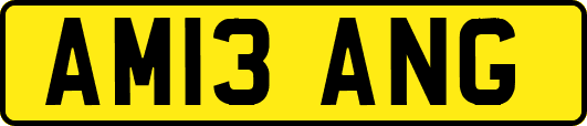 AM13ANG