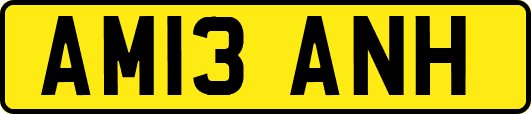 AM13ANH