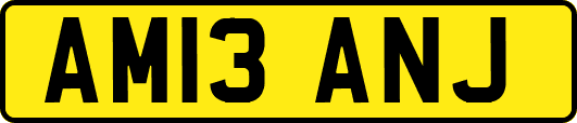 AM13ANJ