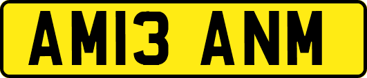 AM13ANM