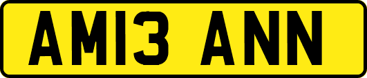 AM13ANN